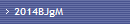 2014BJgM