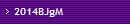 2014BJgM